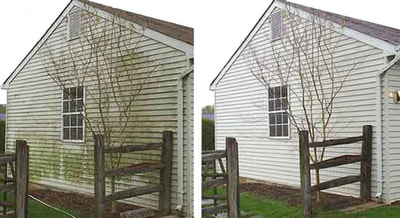 green algae removed from vinyl siding, before and after pictures